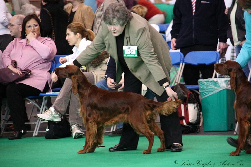 Crufts2011 073.jpg